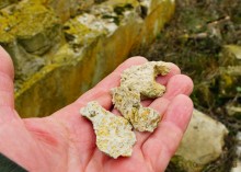 Часовня в Коныгине