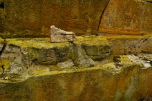 Часовня в Коныгине