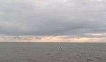 В Приморском парке Таганрога