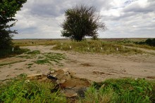 Песчаный ключ в долине Калитвы