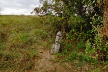 Песчаный ключ в долине Калитвы