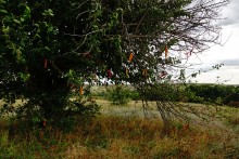 Песчаный ключ в долине Калитвы