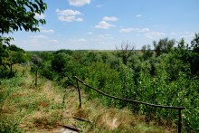 Источник Иоана Предтечи у Нижнежуравского на Северском Донце