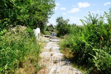 Источник Иоана Предтечи у Нижнежуравского на Северском Донце