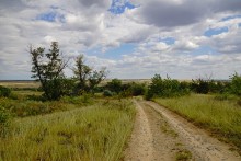 Песчаный ключ в долине Калитвы