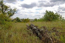 Песчаный ключ в долине Калитвы