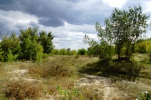 Песчаный ключ в долине Калитвы