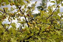 Песчаный ключ в долине Калитвы