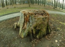 Воспоминания о старом Сельмаше