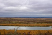 Ракушечные обрывы у хутора Александровка Аксайского района