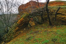 Ракушечные обрывы у хутора Александровка Аксайского района