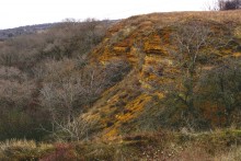 Ракушечные обрывы у хутора Александровка Аксайского района