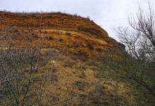 Ракушечные обрывы у хутора Александровка Аксайского района