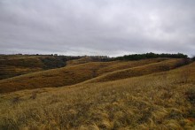 Ракушечные обрывы у хутора Александровка Аксайского района