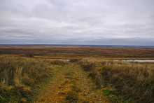 Ракушечные обрывы у хутора Александровка Аксайского района