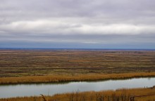 Ракушечные обрывы у хутора Александровка Аксайского района