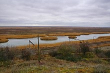 Ракушечные обрывы у хутора Александровка Аксайского района