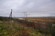 Ракушечные обрывы у хутора Александровка Аксайского района