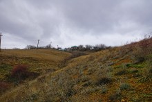 Ракушечные обрывы у хутора Александровка Аксайского района