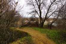 Ракушечные обрывы у хутора Александровка Аксайского района