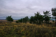 Ракушечные обрывы у хутора Александровка Аксайского района