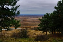 Ракушечные обрывы у хутора Александровка Аксайского района