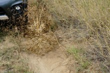 Дороги в долине реки Калитва