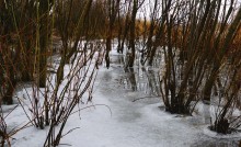 Дон в декабрьскую оттепель после морозов