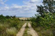 Дороги в долине реки Калитва