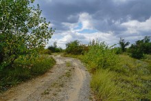 Дороги в долине реки Калитва