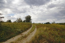 Дороги в долине реки Калитва