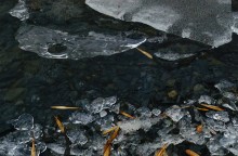 Дон в декабрьскую оттепель после морозов