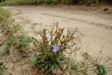 Дороги в долине реки Калитва