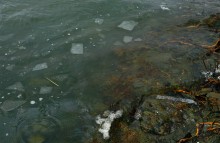 Дон в декабрьскую оттепель после морозов