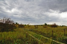 Дороги в долине реки Калитва