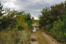 Дороги в долине реки Калитва