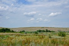 Сухоцвет однолетний в долине большого Калитвенца