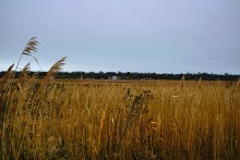 История села Синявского, адмирала Сенявина и покорения Крыма