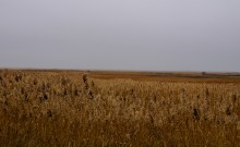 История села Синявского, адмирала Сенявина и покорения Крыма