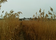 История села Синявского, адмирала Сенявина и покорения Крыма