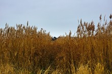 История села Синявского, адмирала Сенявина и покорения Крыма