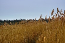 История села Синявского, адмирала Сенявина и покорения Крыма