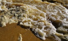 Берег Азовского моря у хутора Рожок в январе