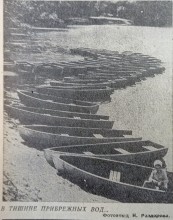 Ростов-на-Дону на страницах газеты "Молот" в 1974 г.