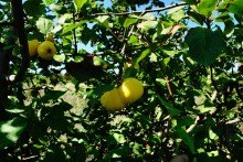 Путешествие по скалам на правом берегу Миуса между хутором Скельновским и селом Русское