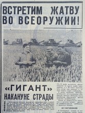 Сельское хозяйство Ростовской области на страницах газеты Молот