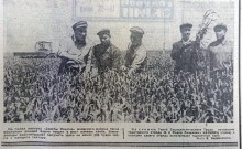 Сельское хозяйство Ростовской области на страницах газеты Молот