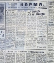 Сельское хозяйство Ростовской области на страницах газеты Молот