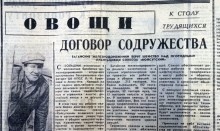 Сельское хозяйство Ростовской области на страницах газеты Молот