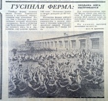 Сельское хозяйство Ростовской области на страницах газеты Молот